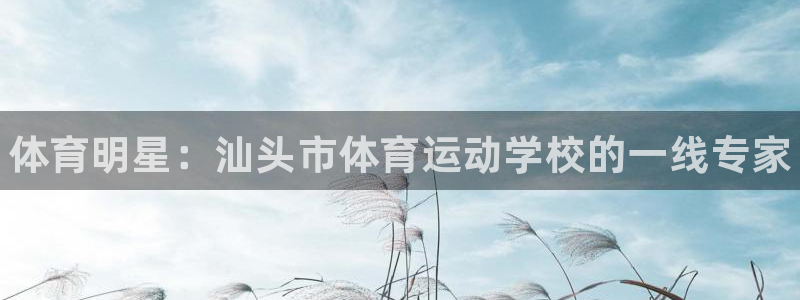 vsport体育官网下载招商电话地址查询：体育明星：