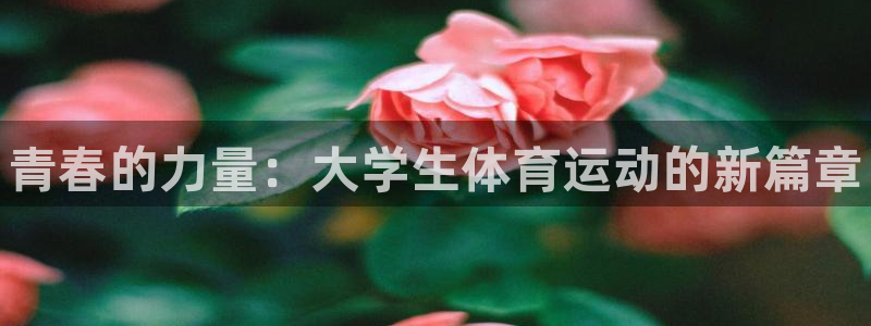 vsport体育官方正版app官网：青春的力量：大学