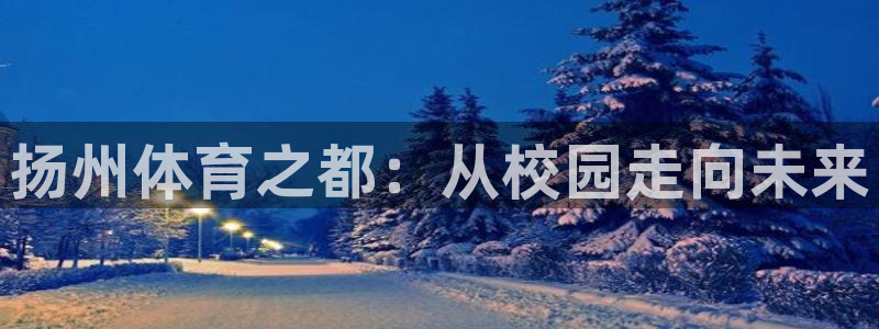 vsport体育官方正版app代理：扬州体育之都：从