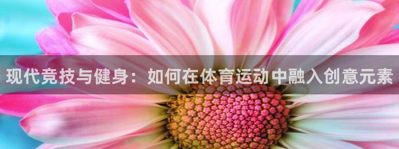 vsport体育官方正版app娱乐网站：现代竞技与健