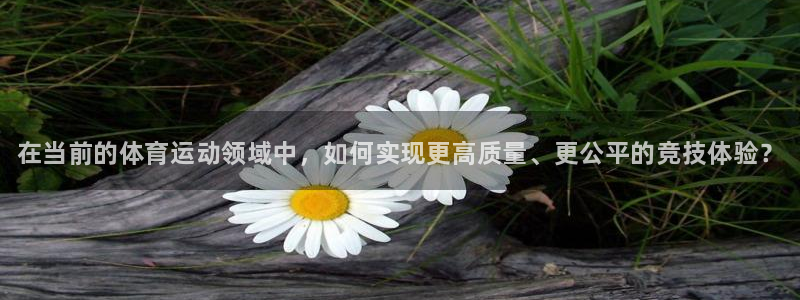 vsport体育官网下载娱乐：在当前的体育运动领域中