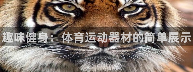 vsport体育官网下载平台是正规平台吗知乎：趣味健