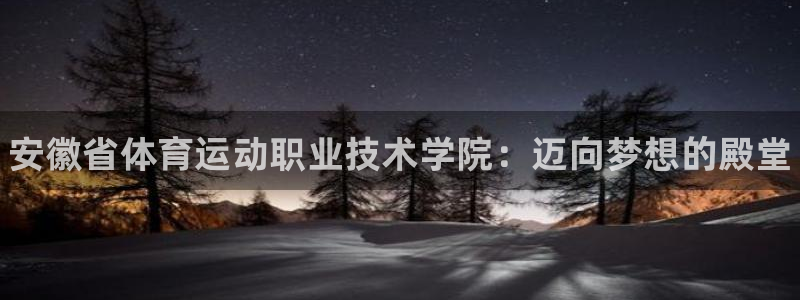 vsport体育官方正版app娱乐网站