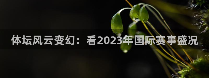 vsport体育官方正版app娱乐：体坛风云变幻：看