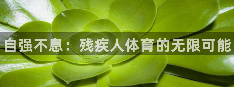 vsport体育官网下载招商：自强不息：残疾人体育的无限可能