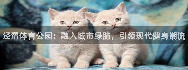 vsport体育官方正版app集团官网首页：泾渭体育公园：融