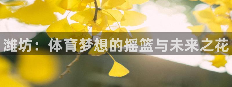 vsport体育官网下载平台是正规平台吗知乎：潍坊：