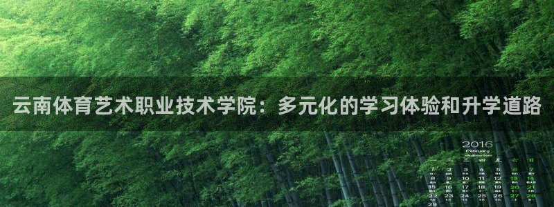 vsport体育官网下载平台注册流程图：云南体育艺术职业技术