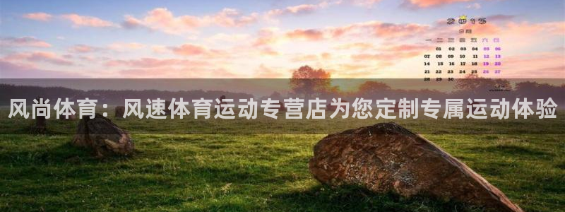 vsport体育官方正版app新能源：风尚体育：风速体育运动