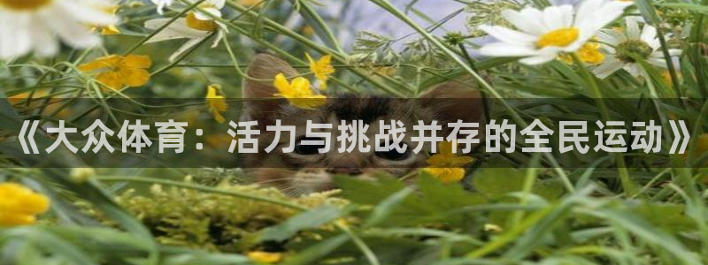vsport体育官方正版app集团官网首页：《大众体育：活力