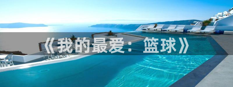 vsport体育官网下载娱乐：《我的最爱：篮球》