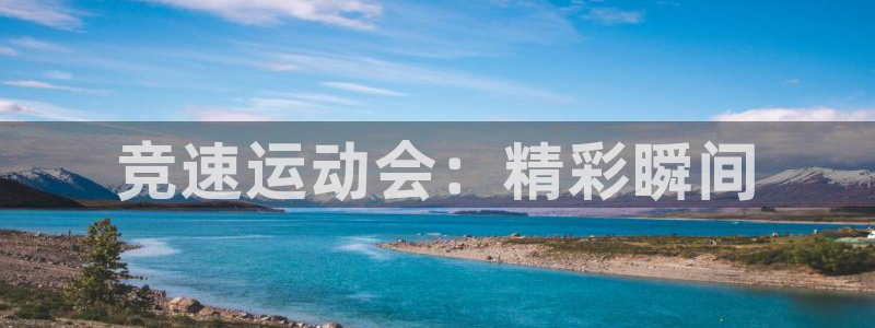 vsport体育官方正版app娱乐下载：竞速运动会：精彩瞬间