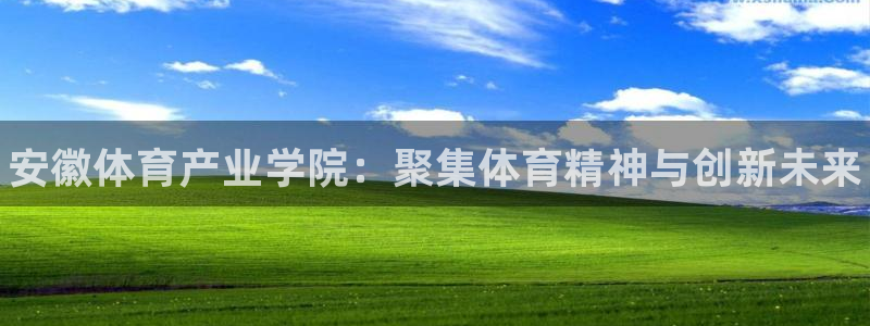 vsport体育官方正版app娱乐下载：安徽体育产业