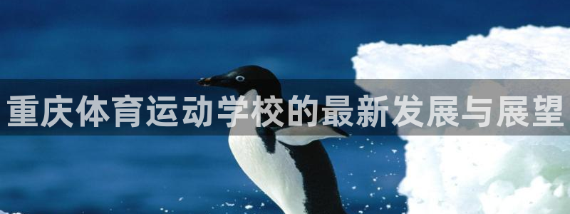 vsport体育官网下载平台是正规平台吗安全吗：重庆体育运动