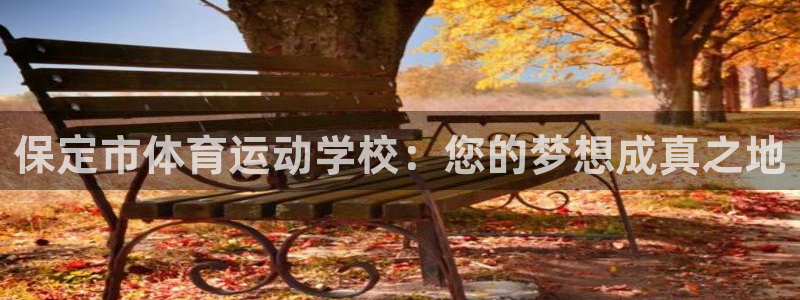 vsport体育官方正版app集团logo：保定市体