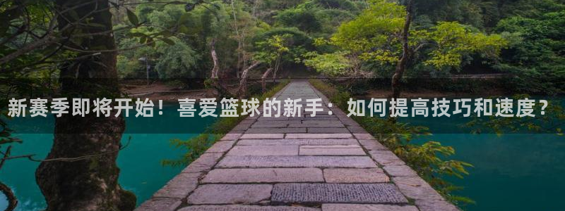 vsport体育官方正版app集团logo：新赛季即