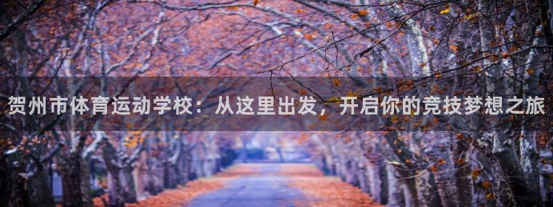 vsport体育官网下载平台注册要钱吗安全吗：贺州市