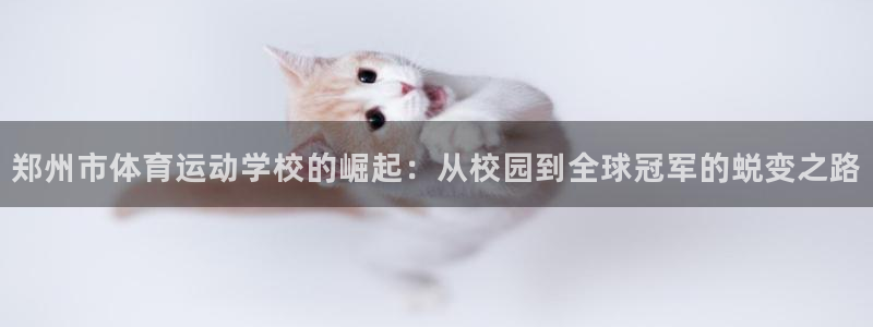 vsport体育官方正版app代理：郑州市体育运动学