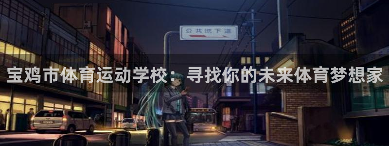 vsport体育官方正版app新能源：宝鸡市体育运动