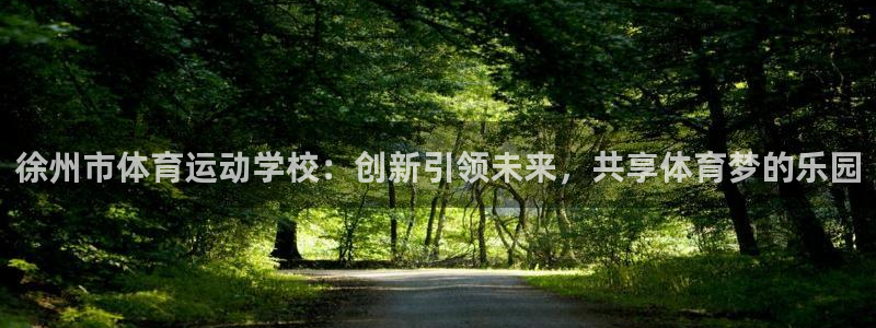 vsport体育官方正版app娱乐代理怎么样：徐州市