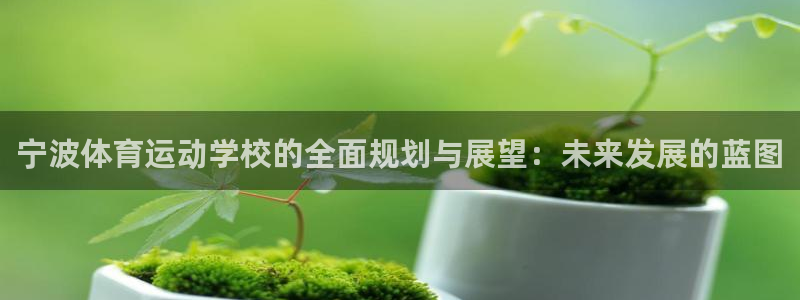 vsport体育官网下载平台是正规平台吗安全吗
