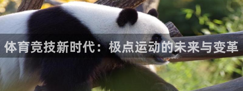 vsport体育官网下载注册：体育竞技新时代：极点运动的未来