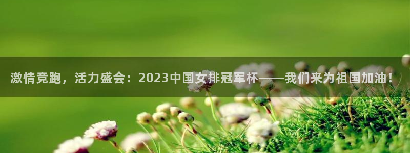 注册vsport体育官方正版app：激情竞跑，活力盛会：20
