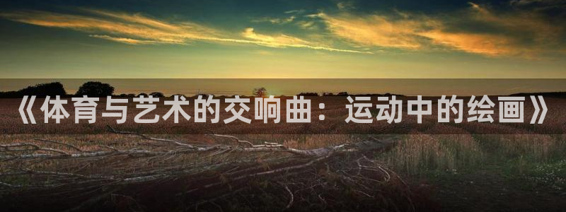 海南vsport体育官网下载发展怎么样：《体育与艺术的交响曲