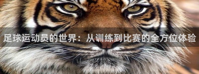 注册vsport体育官方正版app：足球运动员的世界