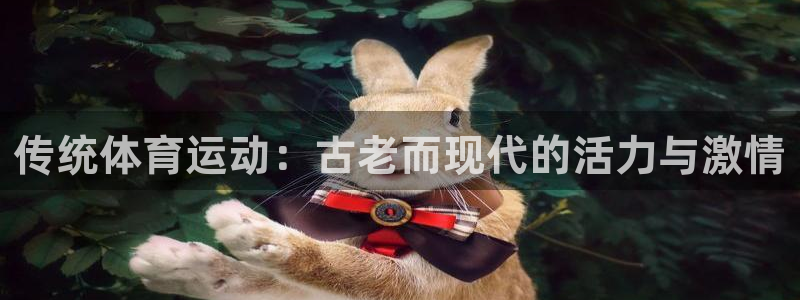 vsport体育官方正版app代理：传统体育运动：古老而现代