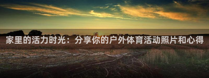 vsport体育官方正版app娱乐首页网站大全：家里的活力时