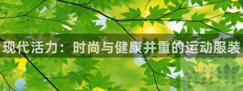 vsport体育官方正版app娱乐是那个系列的台子：现代活力
