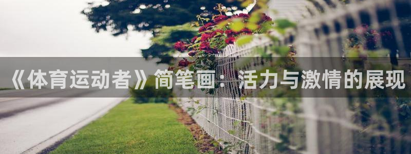 vsport体育官网下载招商电话是多少：《体育运动者