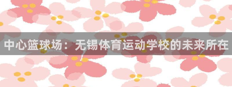 vsport体育官方正版app代理：中心篮球场：无锡体育运动