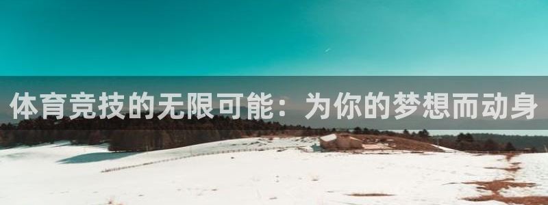 vsport体育官方正版app娱乐首页网站大全：体育