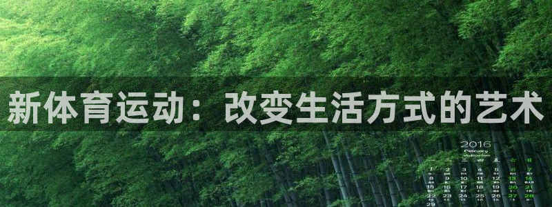 海南vsport体育官网下载：新体育运动：改变生活方