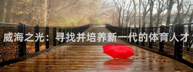 vsport体育官方正版app娱乐首页网站大全:威海之光:寻