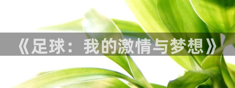 vsport体育官网下载平台是正规平台吗知乎：《足球