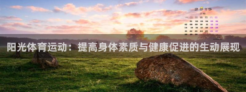 vsport体育官方正版app娱乐首页官网下载