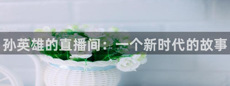 88看球免费直播回放：孙英雄的直播间：一个新时代的故事