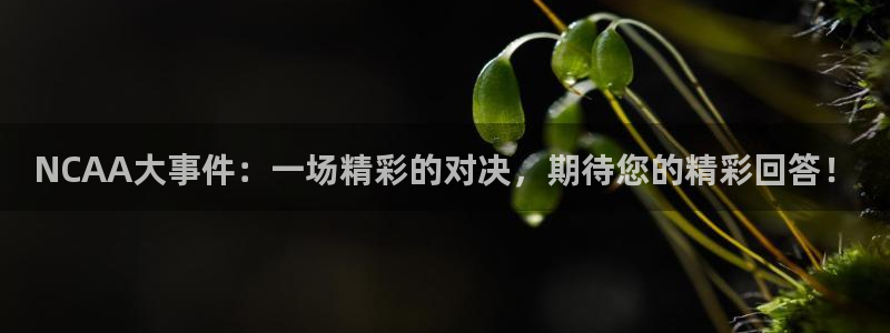 nba直播_足球直播_免费在线直播_88看球官网：NCAA大事件：一场精彩的对决，期待您的精彩回答！