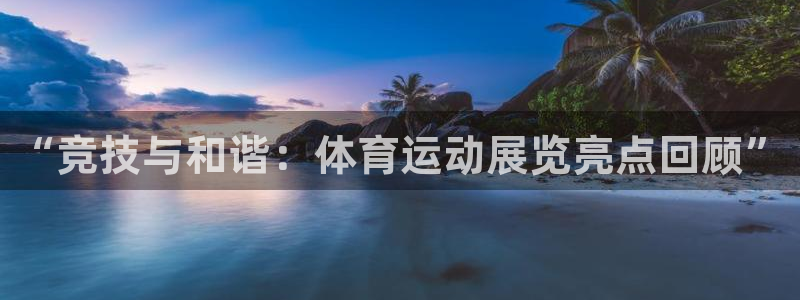 vSport体育在线登录平台：“竞技