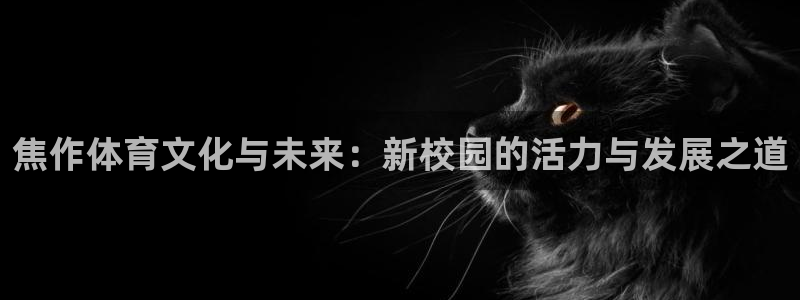 VSport体育官网入口：焦作体育文