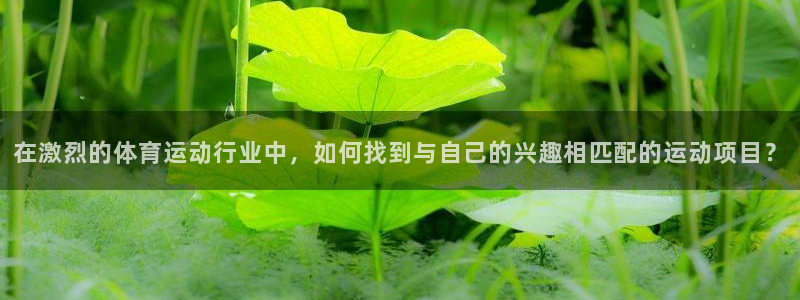 vsport体育官网：在激烈的体育运动行业中，如何找到与自己
