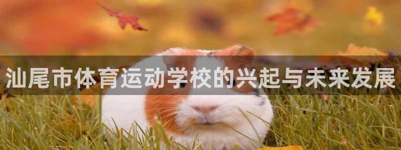 vsport体育在线官网：汕尾市体育