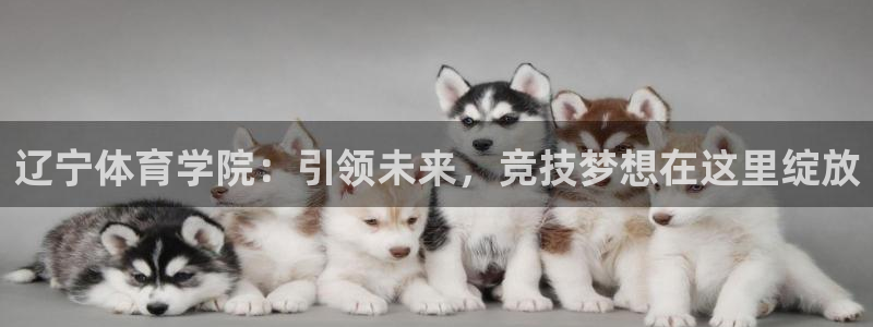 vsport体育平台：辽宁体育学院：引领未来，竞技梦想在这里
