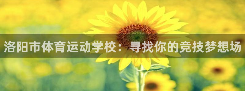 vsport体育平台app下载安装免