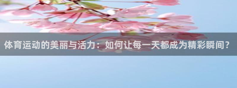 vSport体育app最新版本更新内
