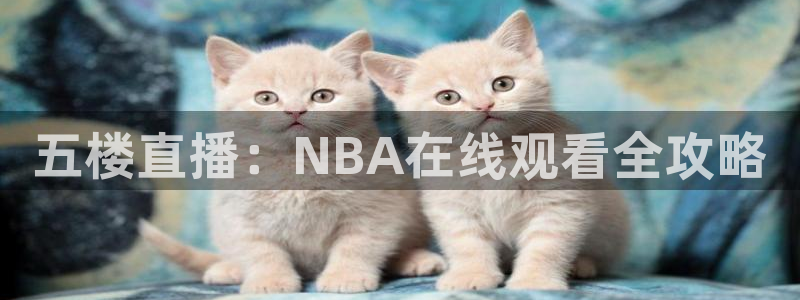 88看球吧直播：五楼直播：NBA在线观看全攻略