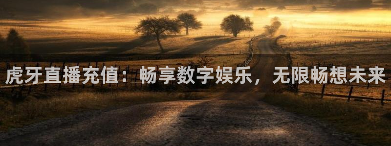 88看球体育：虎牙直播充值：畅享数字娱乐，无限畅想未来